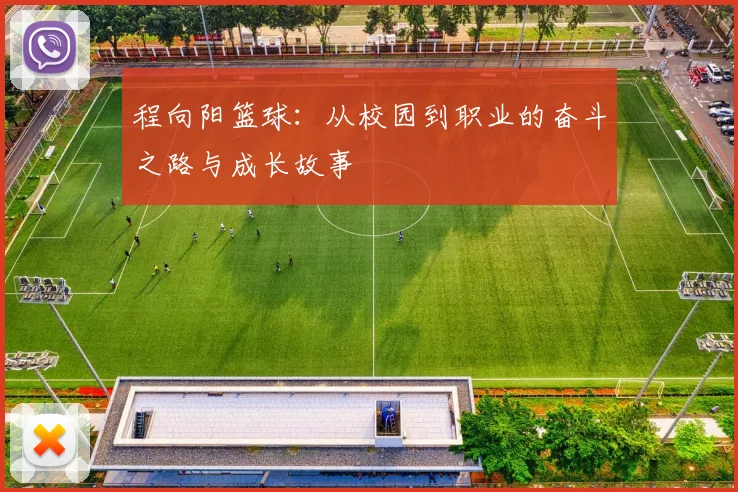 程向阳篮球：从校园到职业的奋斗之路与成长故事
