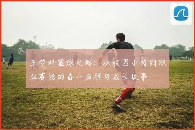 王登科篮球之路：从校园小将到职业赛场的奋斗历程与成长故事