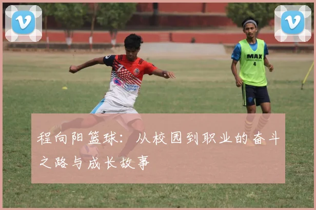 程向阳篮球：从校园到职业的奋斗之路与成长故事