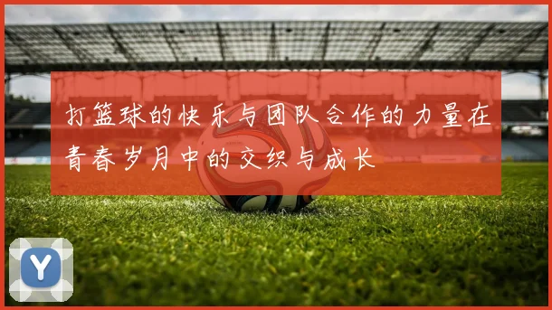 打篮球的快乐与团队合作的力量在青春岁月中的交织与成长