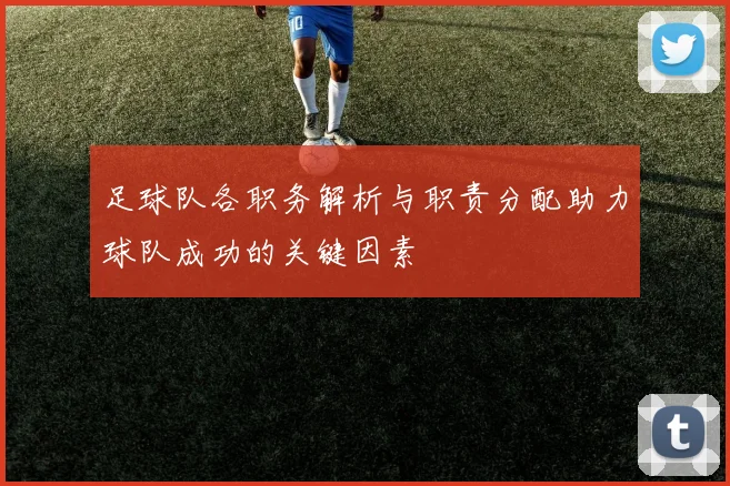 足球队各职务解析与职责分配助力球队成功的关键因素