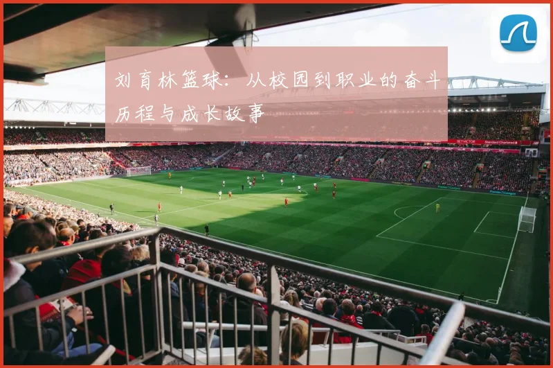 刘育林篮球：从校园到职业的奋斗历程与成长故事