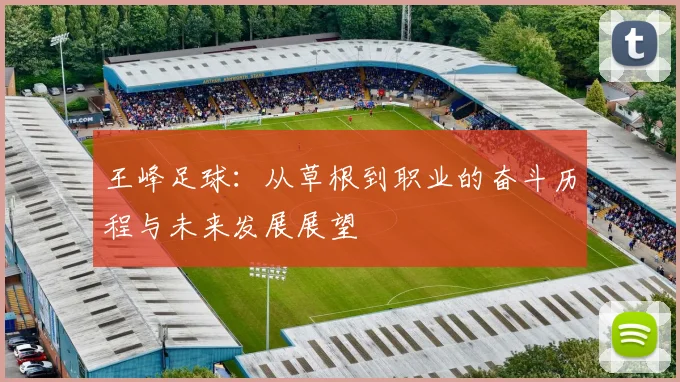 王峰足球：从草根到职业的奋斗历程与未来发展展望